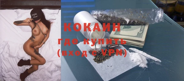 прущие грибы Нефтекумск