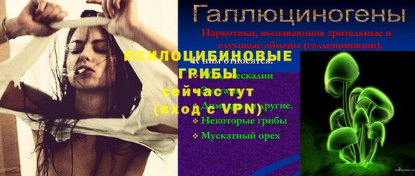 бошки Нефтегорск