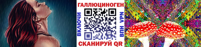 купить наркотик Кяхта Галлюциногенные грибы Psilocybe